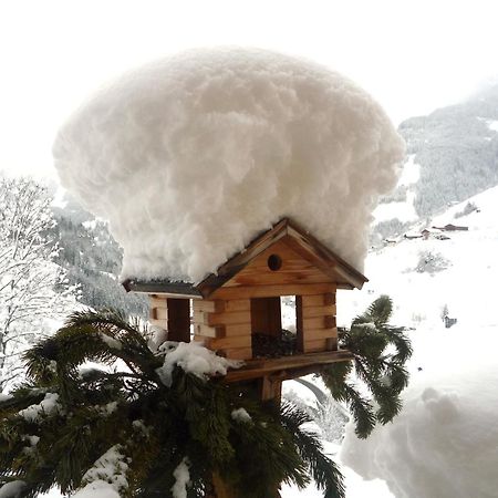 Appartementhaus Unterkofler กรอสซาร์ล ภายนอก รูปภาพ